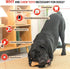 Dog Chew Toys Pine Wood and Nylon, Tough Toys for Aggressive Chewers, Real Bacon Indestructible Toys to Keep Them Busy
