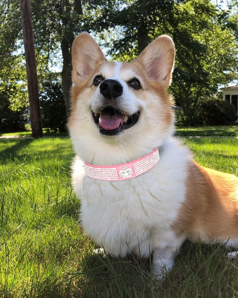 Bling Dog Collar for Small Medium Large Dogs, Adjustable Crown Rhinestone Collars for Girl and Boy Dogs (S, Pink)