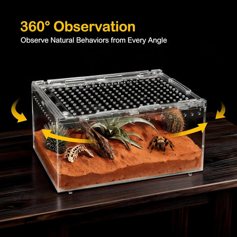 Small Reptile Terrarium Kit,Escape Proof Tarantula Enclosure,PC Starter Hermit Crab Tank,Spider Habitat for Praying