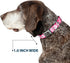 Buckle-Down Hibiscus Dog Collar Bone, Neon Pink/White, 1" Wide - Fits 9-15" Neck - Small