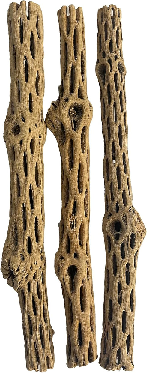 Awesome Aquatic Natural Cholla Wood, 3 Pieces 12” for Shrimp Habitat, Food Treat, Aquarium Decoration