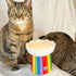 BigMouth Inc Rainbow Elevated Cat Bowl - Raised Ceramic Feeder for Small Dogs and Cats