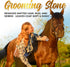 Colorado Groomer's Pet Hair & Fur Remover, Made in The USA, for Dogs, Cats, Horses & More