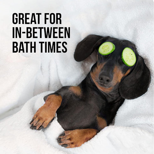 Natural Rapport Dog Cologne Spray Cranberry & Vanilla Scent - The Only Between Bath Spray Dogs Need - Convenient, Dog Deodorant Spray and Pet Urine Odor Eliminator Perfume (8 fl oz.)