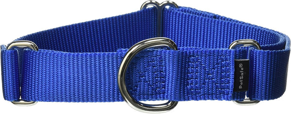 PetSafe Adjustable Martingale Collar, Prevents Slipping Out, Only Tightens When Dogs Pull, 1", Medium, Royal Blue