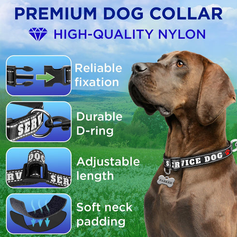 TECEUM Reflective Pet Collar, Extra Soft Padding, Basic Nylon Dog Collar with Quick Release for All Sizes