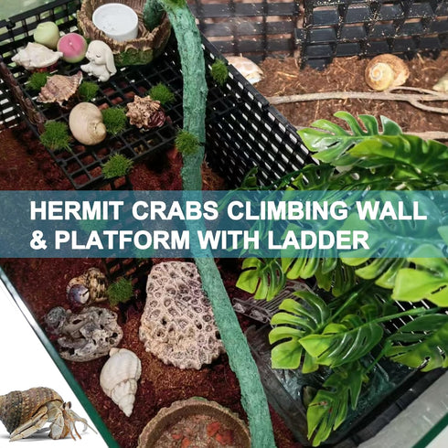 4 Pcs DIY Hermit Crab Climbing Toys | Hermit Crabs Climbing Wall & Platform with Ladder | Hermit Crab Tank Accessories