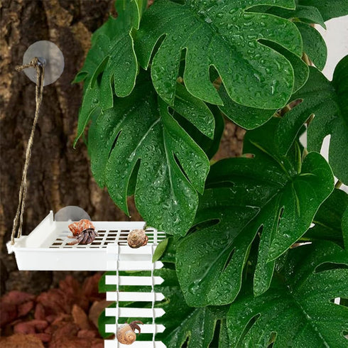 Generic Hammock Hermit Crab Habitat Accessories - Plastic Grid Ladder for Hermit Crab, Hamster, Guinea Pig (White)