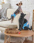 8pcs Pet Soft Dog Diapers Female, Disposable Dog Diapers, Cat Diaper for Female Cats, Puppy Diaper Medium