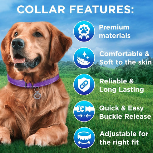 TECEUM Reflective Purple Pet Collar, L, Extra Soft Padding, Basic Nylon Dog Collar with Quick Release Buckle