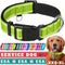 TECEUM Reflective Pet Collar – Basic Nylon Dog Collar – Quick Release Buckle – Acid Green – S – Extra Soft Padding –