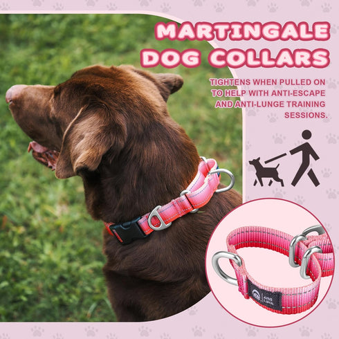 Martingale Dog Collar, Pink Light-Reflective Polyester for Whippets, Greyhounds, No-Pull No-Escape Adjustable Collars