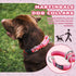 Martingale Dog Collar, Pink Light-Reflective Polyester for Whippets, Greyhounds, No-Pull No-Escape Adjustable Collars