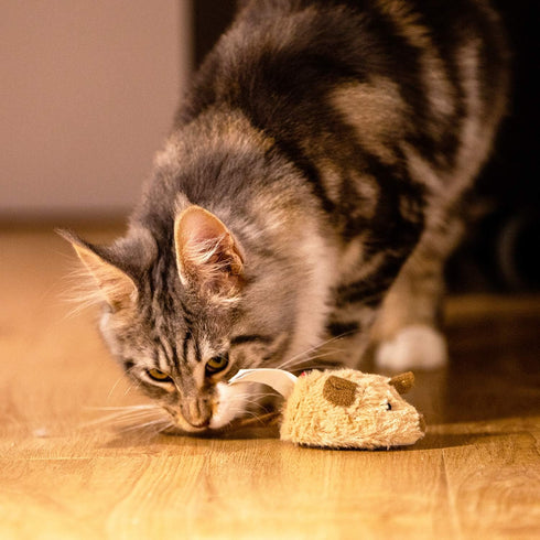 Gigwi Interactive Cat Toy Mouse, Automatic Moving Electronic Cat Toys with Furry Tail, Squeaky Toys for Kittens