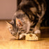 Gigwi Interactive Cat Toy Mouse, Automatic Moving Electronic Cat Toys with Furry Tail, Squeaky Toys for Kittens