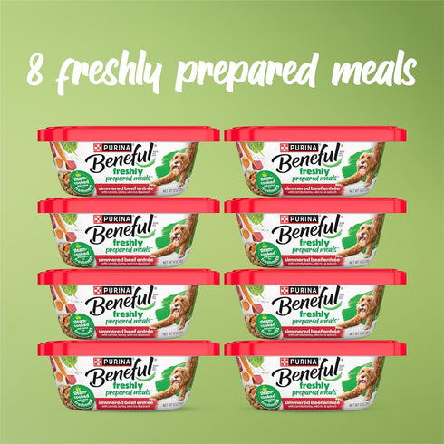 Simmered (Pack 8) 10 oz. Purina Beneful Dog Food Freshly Prepared Meals Beef Entree with Carrots, Barley, Wild Rice