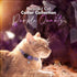 Pawtitas Recycled Cat Collar - Reflective Breakaway Collar with Safety Buckle and Removable Bell, Purple Quartz