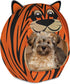 Maccabi Art Tiger Theme Dog Bed, Cute Igloo Style Pet Bed, Fits Small Dogs, Puppies, Cats, Non-Slip Design, 16 x 16 x 18