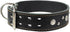 Thick Genuine Leather Studded Dog Collar 2" Wide Black for 19"-22" Neck, Fits Retriever, Doberman, Rottweiler, Pit Bull