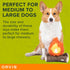Orvis Dog Campfire Tails 2-in-1 Plush Toy Set, Durable Crinkle and Squeaker Chew Toy Set for Interactive Play