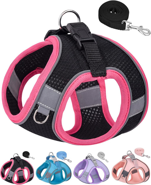 Dog Harness and Leash Set for Small Medium Sized Dogs, Puppy Training Vest Harness, Black, XS