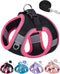 Dog Harness and Leash Set for Small Medium Sized Dogs, Puppy Training Vest Harness, Black, XS