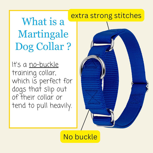 Country Brook Petz Martingale Dog Collar - Heavy-Duty Training Collar, Royal Blue, 1 Inch, Large
