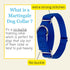Country Brook Petz Martingale Dog Collar - Heavy-Duty Training Collar, Royal Blue, 1 Inch, Large
