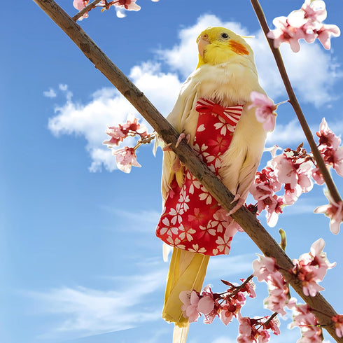 Magnoloran 2 80in Pcs Bird Diapers Bird Harness Flight Suits Diapers with Flying Leash Reusable Parrot Nappy