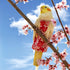 Magnoloran 2 80in Pcs Bird Diapers Bird Harness Flight Suits Diapers with Flying Leash Reusable Parrot Nappy