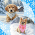 120 25.6 17.7 17.7 Inch Chunful Pcs Winter Bandanas for Dogs Bulk Charm Blue Bandanas Snowflake Patterns Soft Bibs