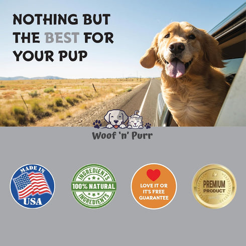 Zinc for Dogs - Dog Zinc Supplement, Supports Healthy Skin, Coat, Immune Health & More, Skin and Coat Supplement for