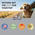 Zinc for Dogs - Dog Zinc Supplement, Supports Healthy Skin, Coat, Immune Health & More, Skin and Coat Supplement for