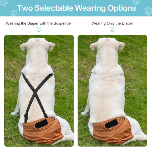 3 Pack 1 Avont Washable Female Dog Diaper with Suspender, Reusable Girl Doggie Underwear Pants for Heat Cycle Period