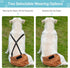 3 Pack 1 Avont Washable Female Dog Diaper with Suspender, Reusable Girl Doggie Underwear Pants for Heat Cycle Period