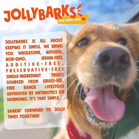 Bully Sticks for Small Dogs - All Natural, Single Ingredient Bully Sticks for Puppies to Medium Dogs (12" Stnd - 3pk)