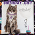 Hillban Cat Collar Diamond Chain Glitter Necklace with Secure Buckle and Paw Charm for Small Cats (Steel Black, Purple,