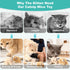 2 Plush Catnip Mice Toys with Rattle Sound- Pcs Interactive Cat Toys for Indoor Cats, Durable Stress Relief