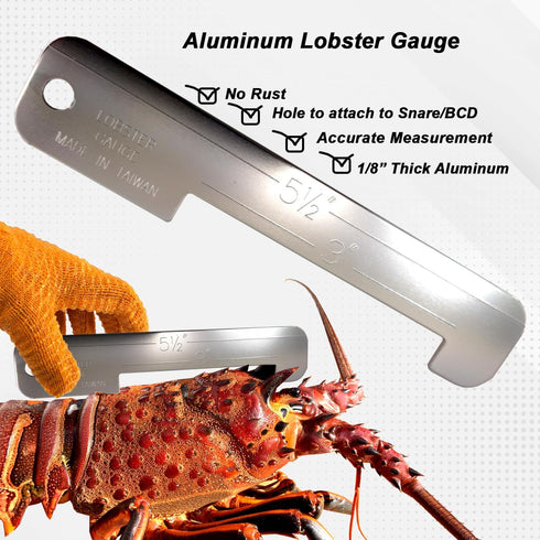 Ultimate Lobster Catching Kit for Snorkeling & Scuba Diving - Net, Tickle Stick, Gauge & Bag Included