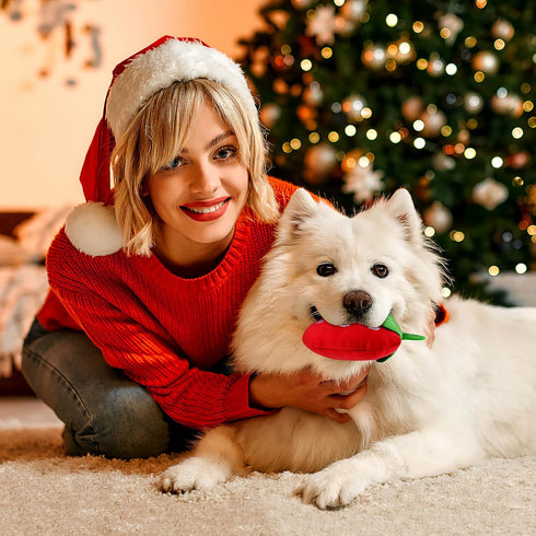 POPETPOP 2Pcs Dog Plush Squeaky Toys, Soft Strawberry Shape Interactive Puppy Chew Toy