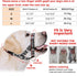 ANDA Gentle Leader Ultra-Light No-Pull Dog Headcollar, Adjustable and Breathable for Daily Use (Medium Size)