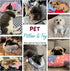 Pet Pillow for Dogs, Glow in The Dark Soft Dog Neck Pillow, U-Shaped Pillow for Cat and Dog, Machine Washable Pet
