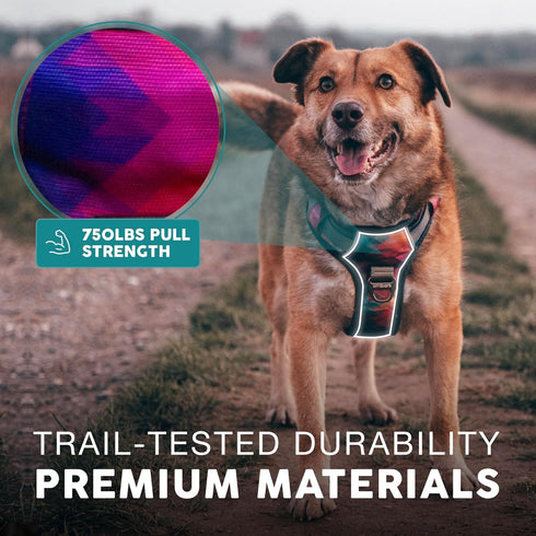 Embark Urban Dog Harness - No-Pull Reflective Trim for Small, Medium & Large Dogs, Heavy Duty Oxford, 2 Leash Clips &