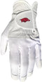 Team Golf NCAA Men's Left Hand Golf Glove for Right Handed Players, One Size with Magnetic Ball Marker