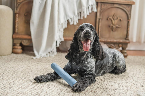 Harry Barker Rubber Balls and Rubber Chew Stick, Rubber Bone for Dogs