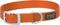 Nylon Single-Ply Dog Collar, Orange, 3/4" x 15"