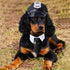 2 Pieces Pet Police Costume Accessory Set - Dog Cat Police Hat with Necktie for Halloween Party