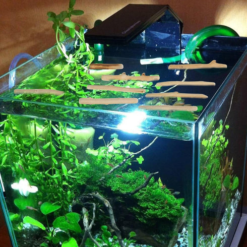 balacoo Natural Driftwood Branches for Aquarium Fish Tank Decoration