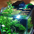 balacoo Natural Driftwood Branches for Aquarium Fish Tank Decoration