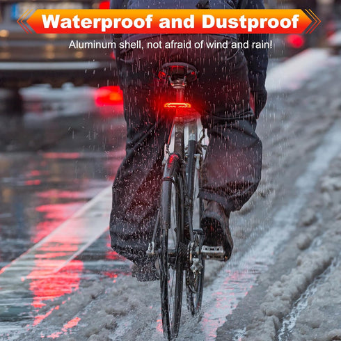 Smart Bike Tail Light with Turn Signals and Brake Light, Bike Alarm with Remote, Waterproof Bike Accessories